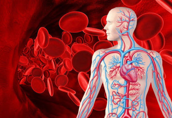 Қаназдық: себептері, белгілері және емделу жолдары