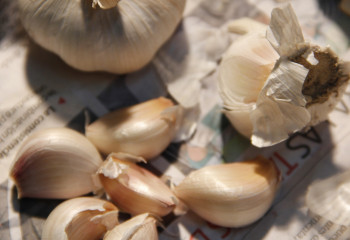 Сарымсақтың емдік қасиеті қандай?