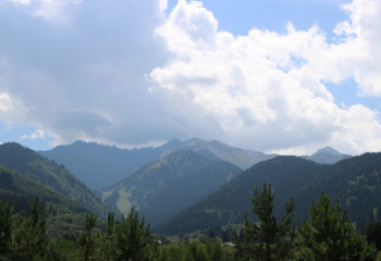 Как растут голубые ели? Об эндемиках Тянь-Шанских гор