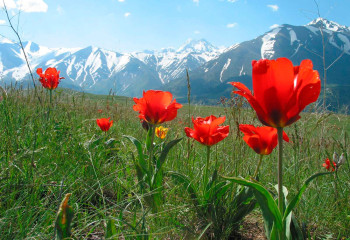 «Экотуризмді дамыту – өзекті мәселе»