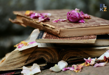 ХХ ғасырдың басындағы қазақ баспасөзі,  2-ші бөлім