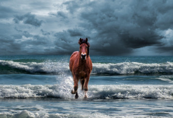 Қазақ атбегілік өнерінің ерекшеліктері