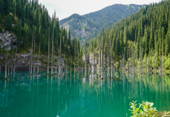 Қайыңды көлі | Көлсай көлдері