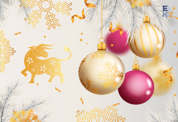 Жаңа жылды қалай қарсы аласыз?