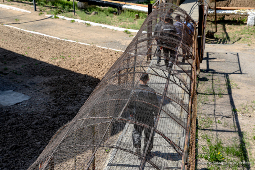  ©El.kz/Бауыржан ЖУАСБАЕВ 