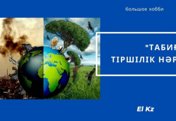 «Хобби» жобасы: 