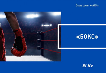 “Хобби” жобасы: Бокс