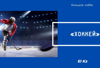 Большое хобби: Хоккей