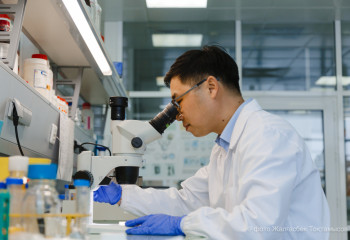 Казахстанский ученый разработал препарат, помогающий людям с больными суставами