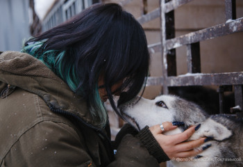 «Люди обращаются к нам, когда находят животных на улице»