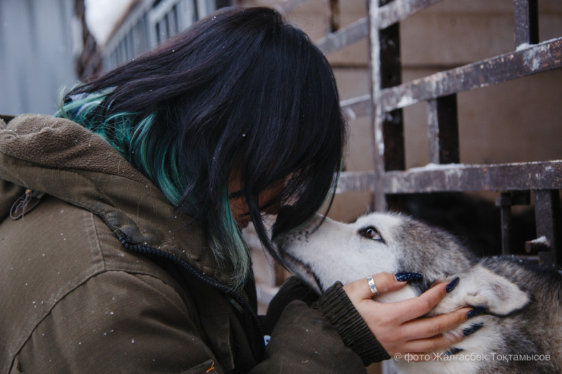  ©El.kz/Жалгасбек ТОКТАМЫСОВ 