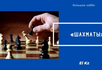 Большое хобби: Шахматы