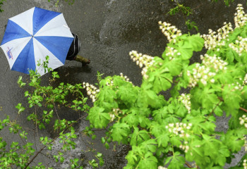 Ертең еліміздің бірқатар өңірінде дауыл болады