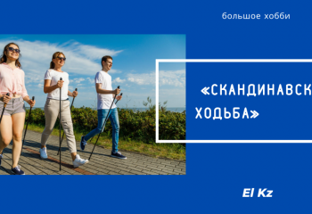 Большое хобби: Скандинавская ходьба