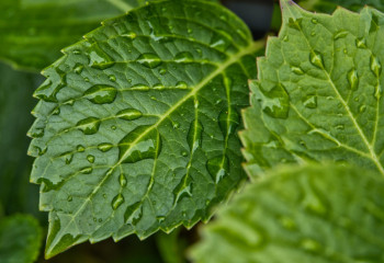 Ертеңге арналған ауа райы болжамы