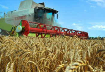 Ербол Қарашөкеев биылғы астық шығымына қатысты болжам жасады