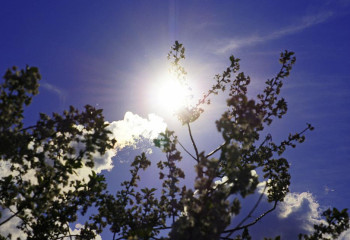 Алдағы күндері күн жылынады