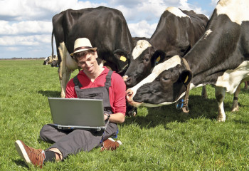 В 40% казахстанских сел выявлено низкое качество связи 