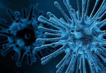 Қазақстанда 13 адамнан коронавирус инфекциясы табылды