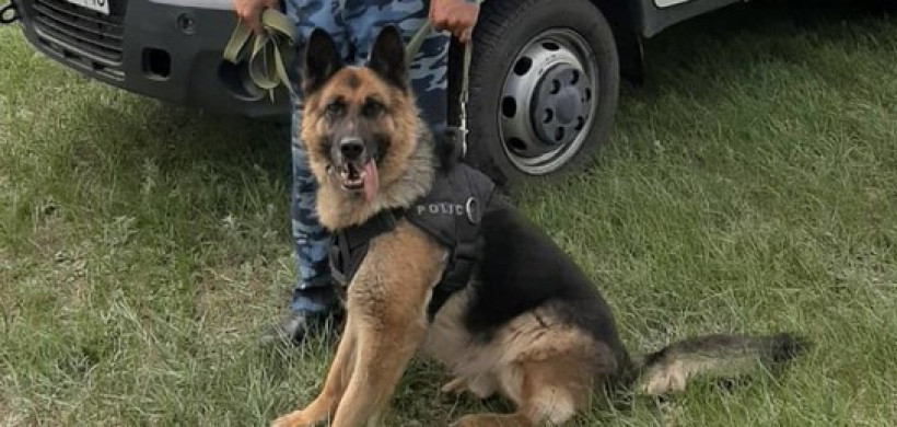  ашық дереккөз 