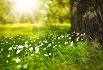 Демалыс күндері 39 градусқа дейін ыстық болады