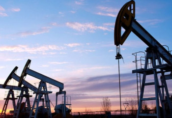  Шикізаттық емес сектордың үлесі 68%-ға жетті