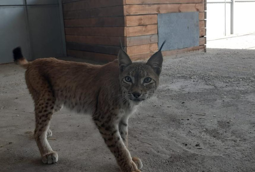  instagram.com/krgzoo 