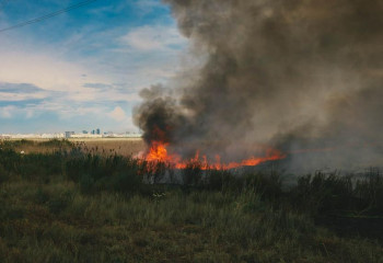 Елорда маңындағы өртті сөндіруге тікұшақ жұмылдырылды