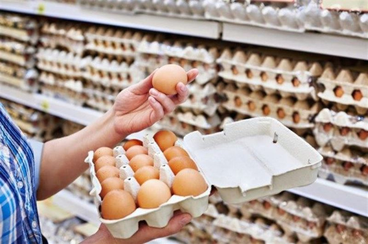 На субсидирование пищевого яйца в 2022 году из бюджета выделено 6,5 млрд тенге