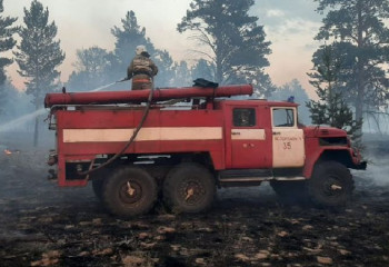 Семей-орманы табиғи қорығының аумағынан өрт шықты