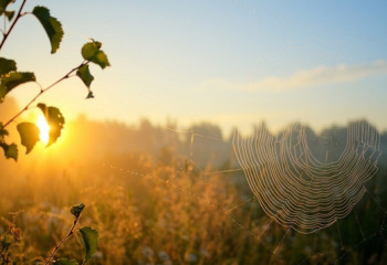 Алдағы үш күнде аптап ыстық болады