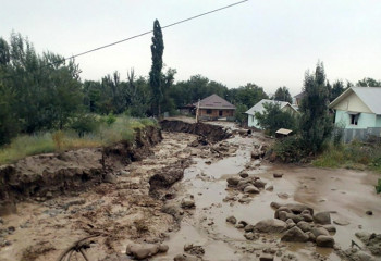Сильный дождь спровоцировал сель в Жамбылской области