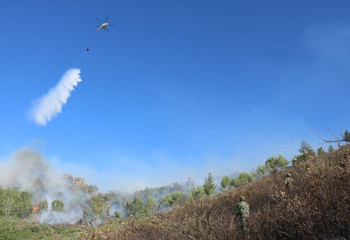 Около 50 единиц техники задействованы на пожаре в Карагандинской области 