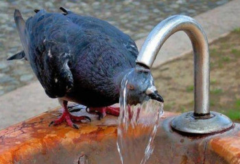 Синоптиктер бүгінгі ауа райы қандай болатынын болжады