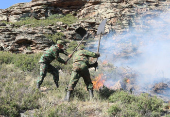 Қарағанды облысындағы өртті сөндіруге 45 бірлік техника жұмылдырылды