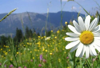 Алдағы үш күнге арналған ауа райы болжамы