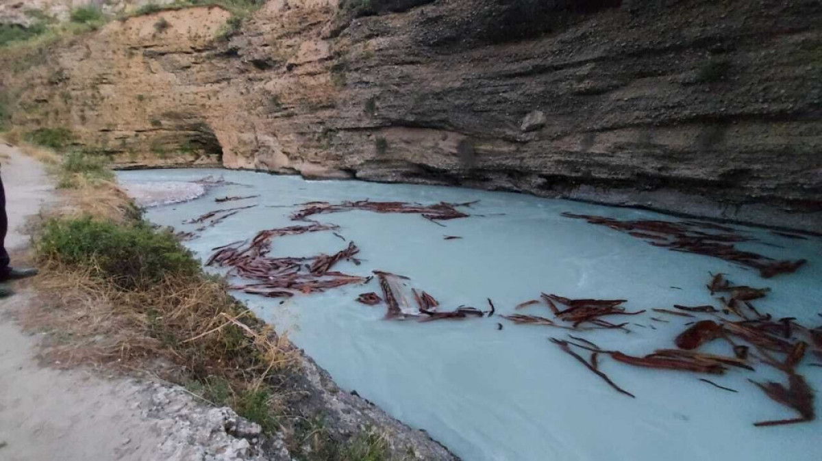 Двое студентов из Индии утонули в каньоне на юге Казахстана