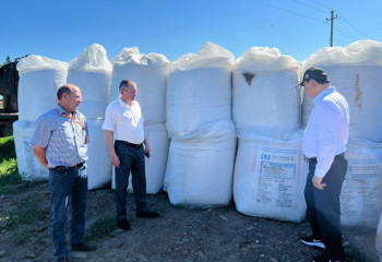 За два года в ВКО реализуют 34 проекта в сфере АПК - Карашукеев