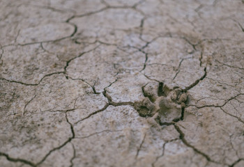 Дефицит осадков ожидается в двух регионах Казахстана в июле