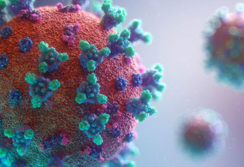 Өткен тәулікте 12 адам коронавирустан жазылды