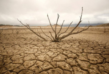 Шілдеде еліміздің екі облысында құрғақшылық болуы мүмкін