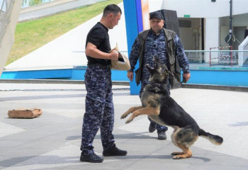 «Жастар есірткіге қарсы» фестивалі өтті