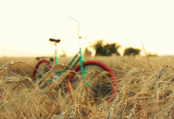 Штормовое предупреждение объявили в некоторых регионах Казахстана из-за сильной жары и ветра