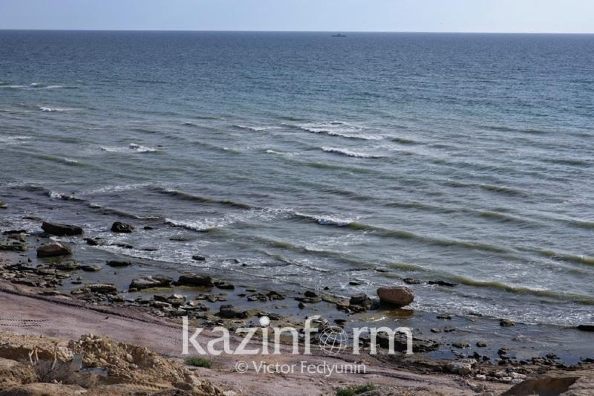 Kazakh Ministry of Ecology calls possible causes of seals` death in Caspian Sea