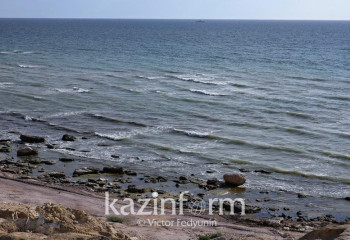 Kazakh Ministry of Ecology calls possible causes of seals` death in Caspian Sea