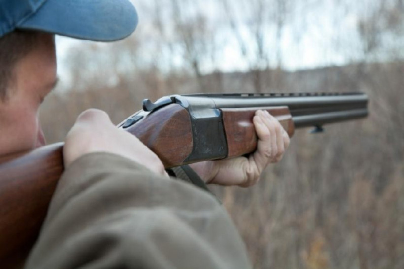  ашық дереккөз 