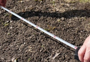 Жерді аукцион арқылы сатып алуға болады