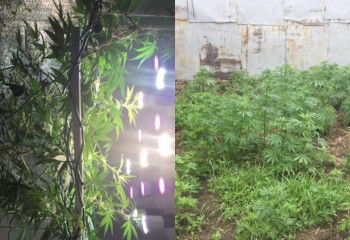 «Мини-нарколабораторию» обнаружили в посёлке полицейские Костанайской области