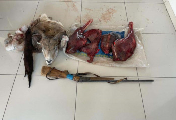 Күзен аулап, 13 млн теңге шығын келтірген браконьер ұсталды