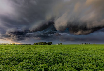 Штормовое предупреждение объявлено в 8 областях Казахстана